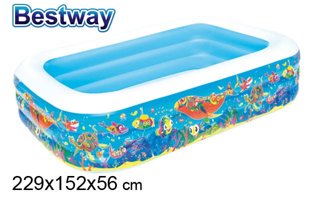 Decorated 3-ring inflatable pool box bw 229x152 cm
