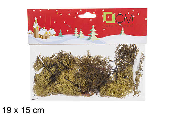 Musgo líquen amarelo 19x15 cm