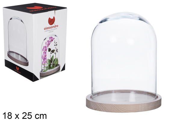 Cloche en verre 18x25 cm