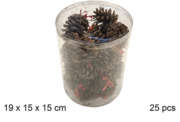 Cilindro com 25 pinhas naturais