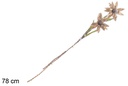 Branch decoration Christmas dried flowers red 78 cm