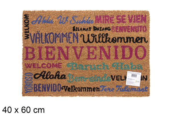 Bem-vindo capacho de coco 40x55 cm
