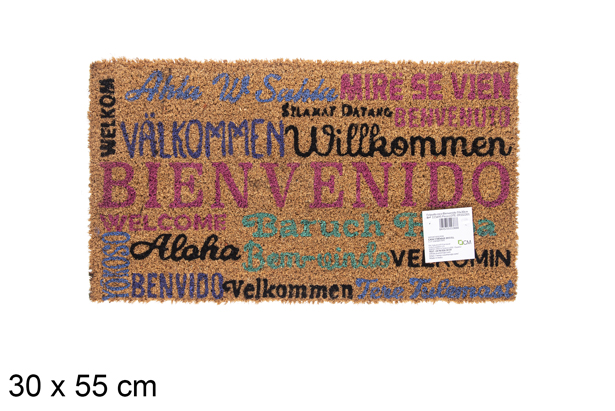 Felpudo coco Bienvenido 30x55 cm