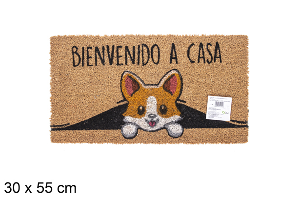 Felpudo coco Bienvenido a casa 30x55 cm