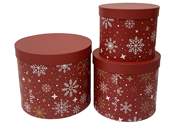 Pack 3 boîtes en carton de Noël décorées 23x19.5 cm-2
