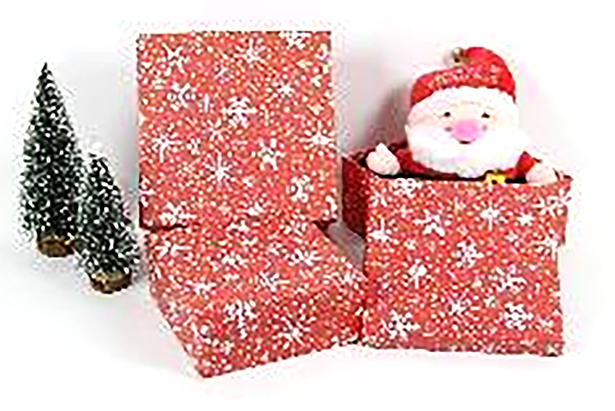 Pack 3 scatole natalizie in cartone decorate 23x16x9.5 cm-4