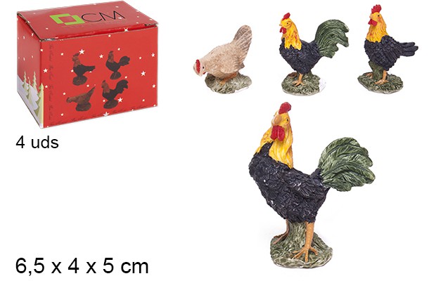 Pack 4 poules