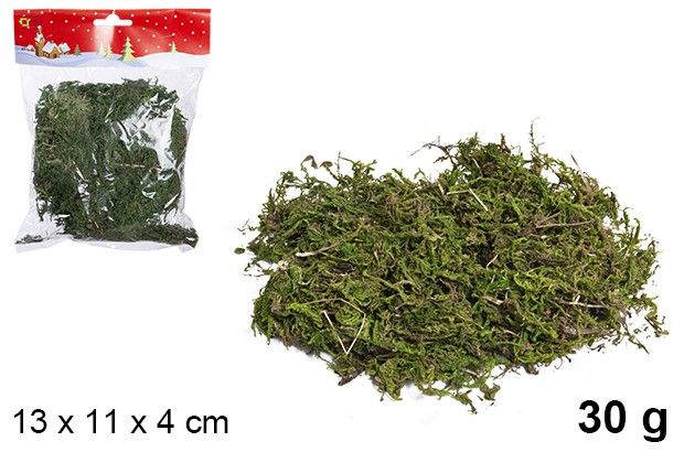 Sachet de mousse verte 30 grammes