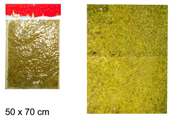 Paper decorated with yellow moss 50x70 cm