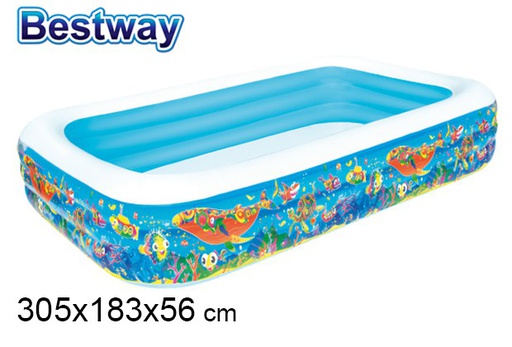[200319] Decorated 3-ring inflatable pool box 305x183 cm
