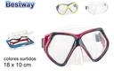 Gafas buceo adulto Omniview