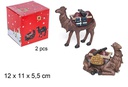 Pack 2 camellos