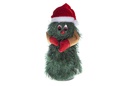 Papa Noel con música y movimiento 20 cm