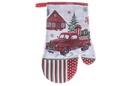 Guanto decorato camion con regali 19x27 cm