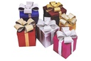 Caja regalo Navidad con lazo surtido 25 cm
