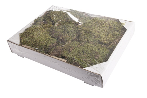 [120324] National moss tray 200 gr.