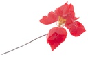 Rama flor de Pascua Navidad 25 cm